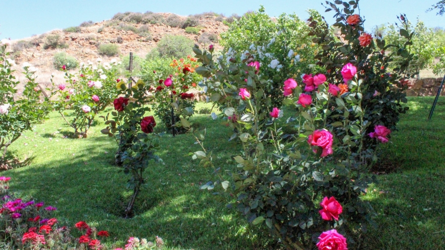 4 Bedroom Property for Sale in Parys Free State